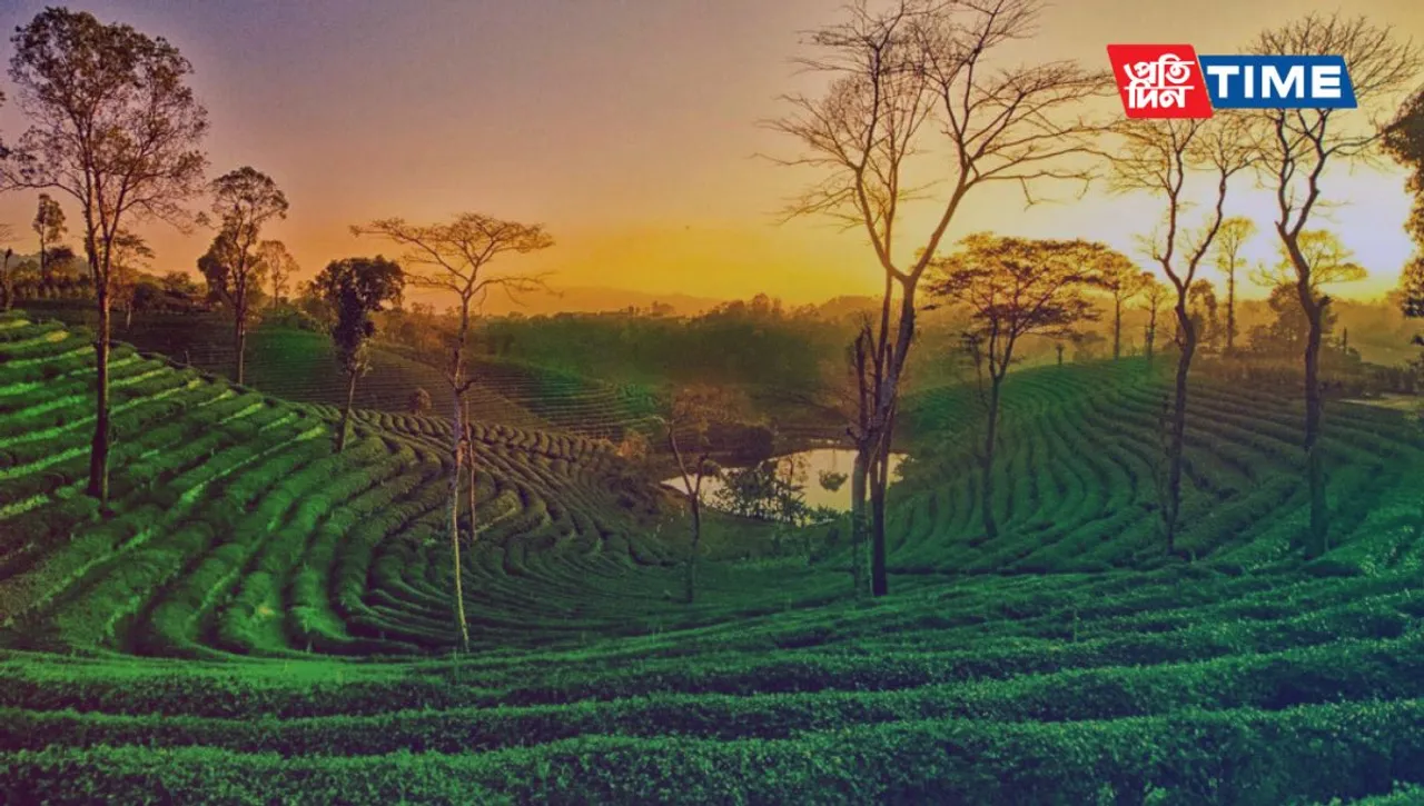 Best Time to Visit Assam